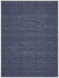 Coast Surface Navy Rug